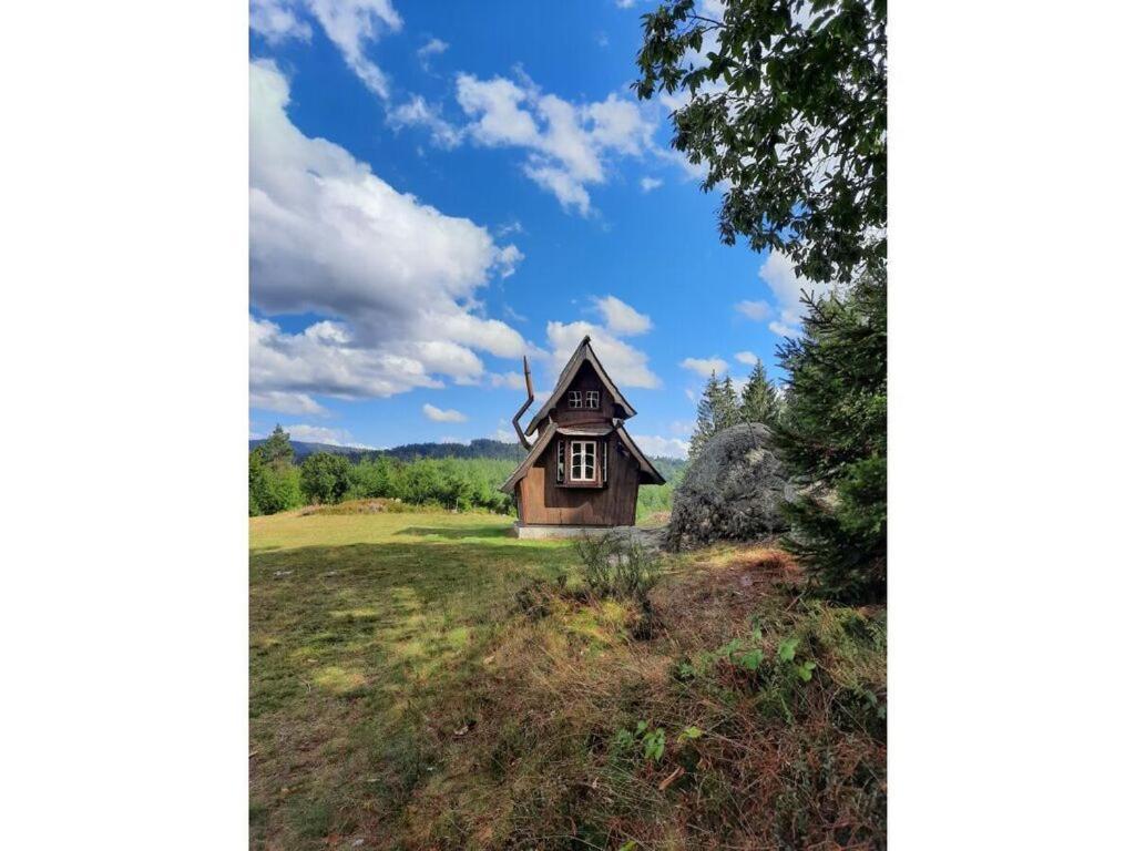 Heimatglueck Schwarzwald Villa Lautenbach Exterior foto